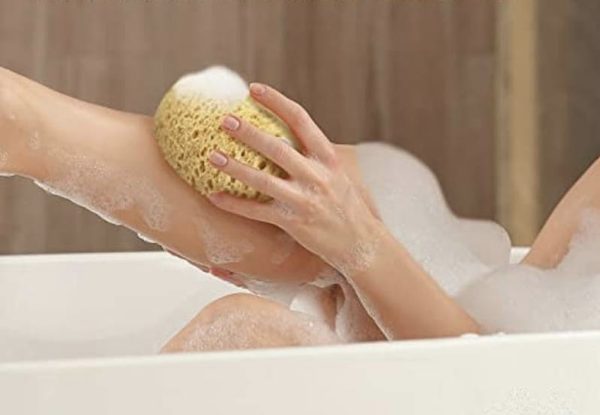 Luchtige Zeewier Spons - Afbeelding 2